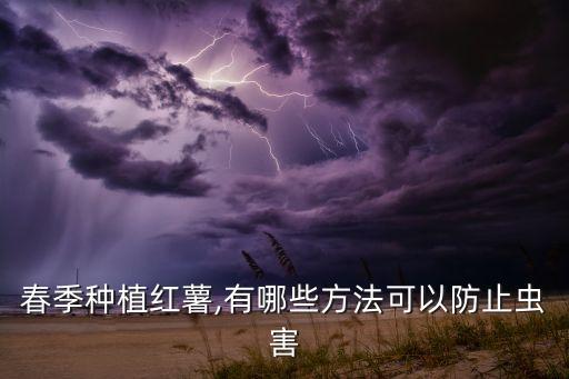 蕃薯噴什么農(nóng)藥好,蕃薯蟲用什么農(nóng)藥