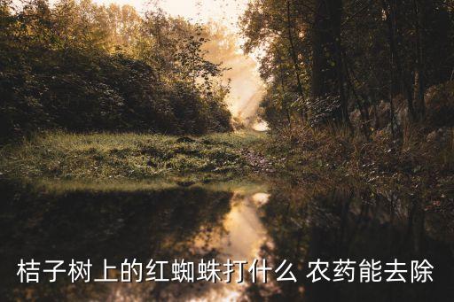 桔子樹上的紅蜘蛛打什么 農藥能去除