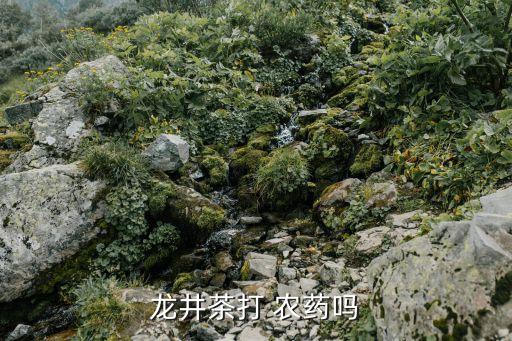 什么茶葉會不會打過農藥,茶葉用什么農藥防治最好