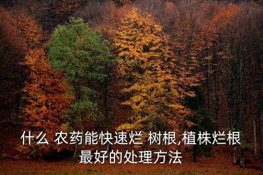 什么 農藥能快速爛 樹根,植株爛根最好的處理方法