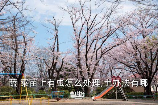 蔬 菜苗上有蟲怎么處理,土辦法有哪些