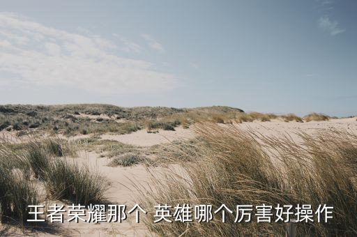 王者農藥什么英雄好,王者打農藥什么意思
