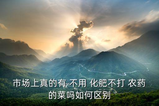 市場上真的有 不用 化肥不打 農(nóng)藥的菜嗎如何區(qū)別