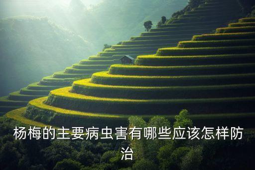 治療楊梅落葉病用什么農(nóng)藥,斑點(diǎn)落葉病用什么藥治療