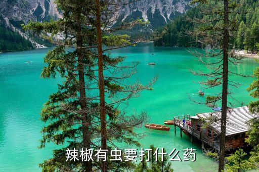 辣椒果實(shí)噴什么農(nóng)藥好用,辣椒花期打什么農(nóng)藥