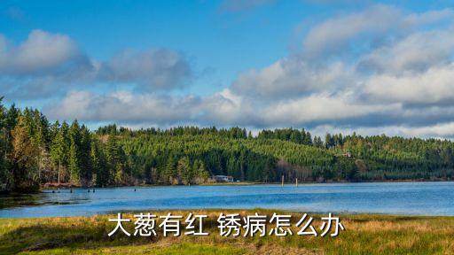 蔥得銹病打什么農(nóng)藥,銹病用什么農(nóng)藥最好
