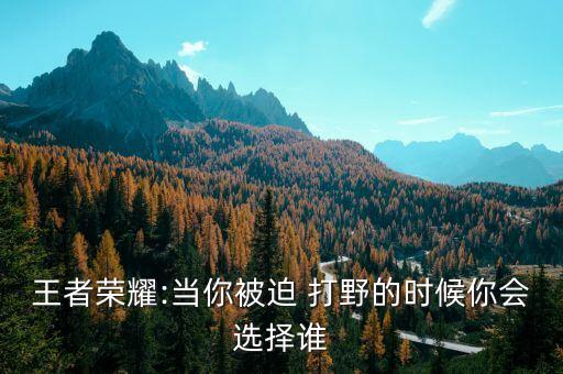 王者榮耀:當你被迫 打野的時候你會選擇誰