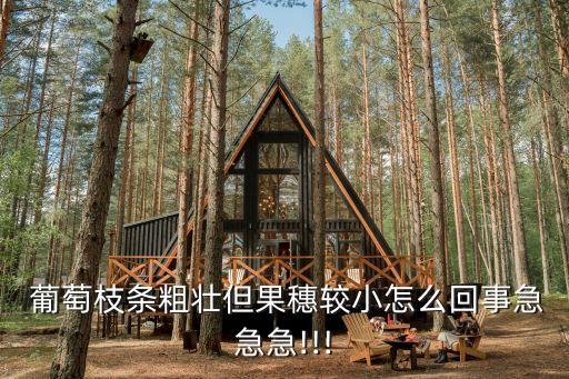 葡萄缺錳打什么農(nóng)藥,葡萄大小粒是缺什么肥