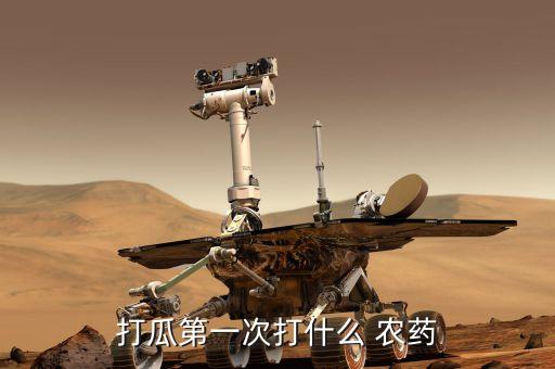 什么農藥噴西瓜,種西瓜打什么農藥最好