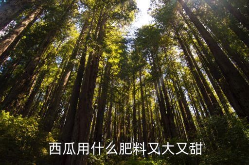 什么農藥打西瓜最甜的,西瓜用什么農藥殺蟲