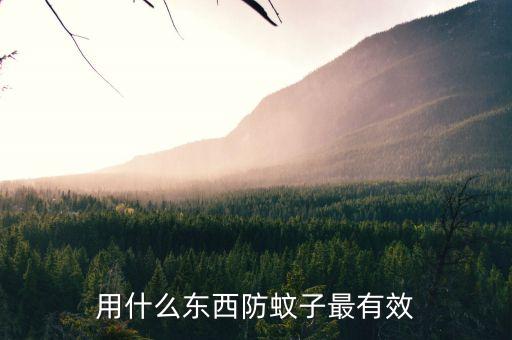 用什么東西防蚊子最有效