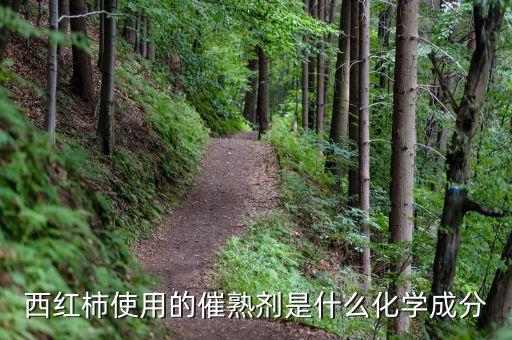 西紅柿使用的催熟劑是什么化學成分