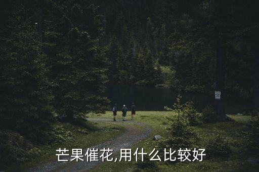  芒果催花,用什么比較好