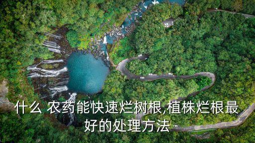 樹木發霉用什么農藥,什么農藥對樹木危害最大