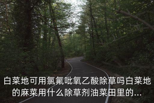 什么農藥對苣荬菜管用