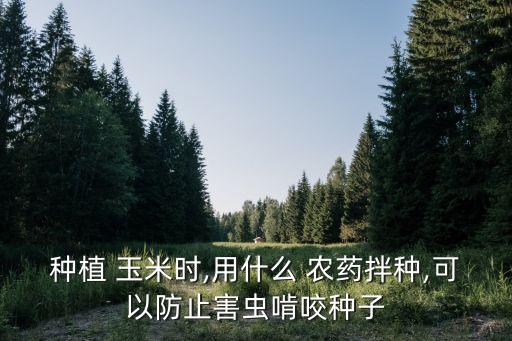 玉米打什么農藥不長棒子是什么原因,玉米里打什么農藥