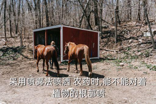 農藥打什么植物最好吃圖片,農藥什么時間打效果最好