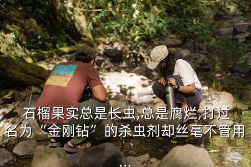 送生石榴什么意思,石榴生蟲打什么農藥