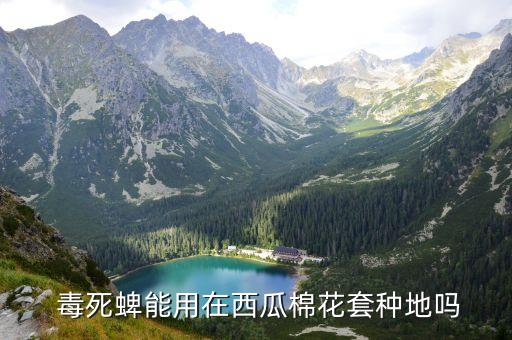  毒死蜱能用在西瓜棉花套種地嗎