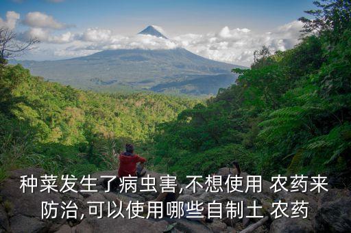 用什么農(nóng)藥可以消滅竹子,什么農(nóng)藥能消滅菜蟲病害