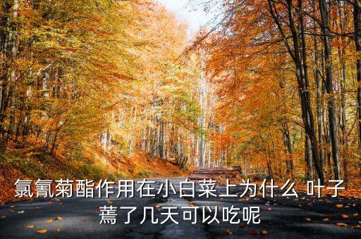 葉子黑煙用什么農藥,農藥噴多了 葉子黑