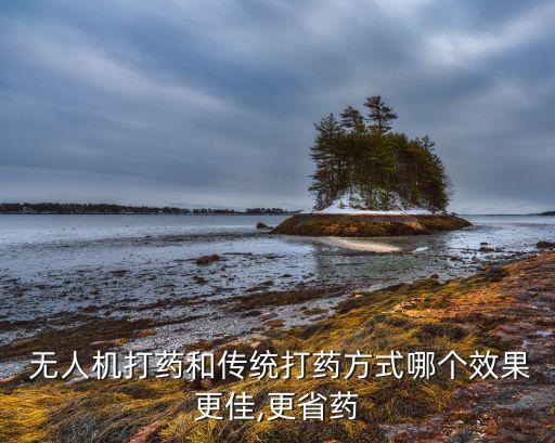 無人機(jī)打農(nóng)藥用什么劑型