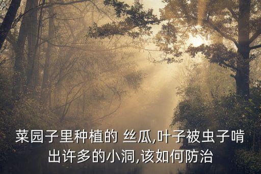 絲瓜打什么農(nóng)藥,絲瓜需要打農(nóng)藥嗎