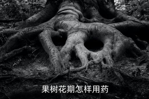  果樹花期怎樣用藥