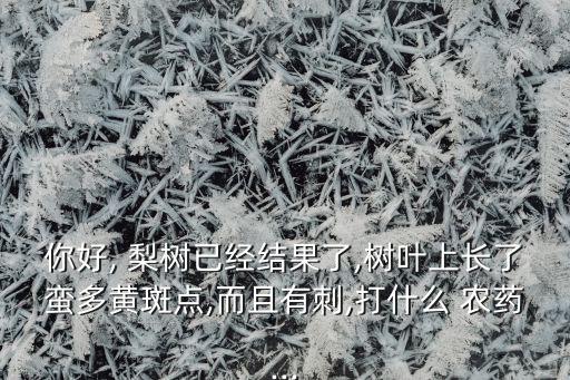 你好, 梨樹已經(jīng)結(jié)果了,樹葉上長了蠻多黃斑點,而且有刺,打什么 農(nóng)藥...