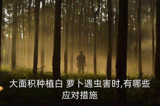 小蘿卜需要打什么農(nóng)藥防治