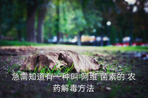 阿維菌素農(nóng)藥用什么水稀釋,農(nóng)藥阿維菌素是治什么的