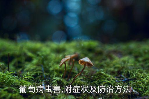 葡萄蟲最怕什么農藥水,螺絲蟲最怕什么農藥