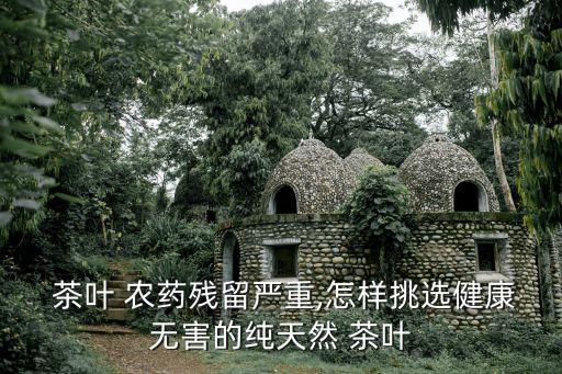 什么茶葉打農藥最多呢,茶葉用什么農藥防治最好