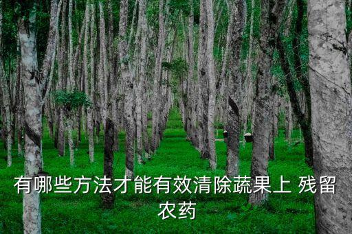 有哪些方法才能有效清除蔬果上 殘留 農(nóng)藥