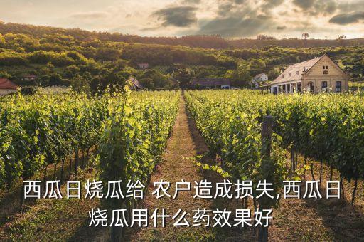 農戶用什么農藥好,農戶買農藥應該注意什么