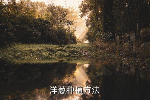 洋蔥種植方法