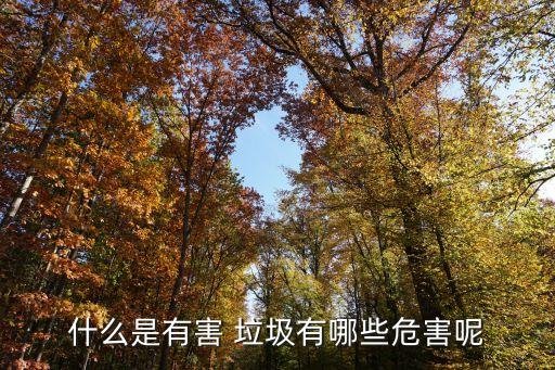 什么是有害 垃圾有哪些危害呢