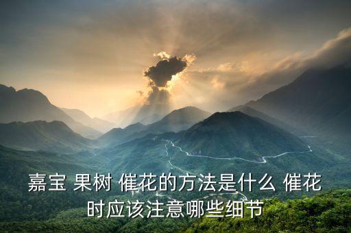 嘉寶 果樹 催花的方法是什么 催花時應(yīng)該注意哪些細節(jié)