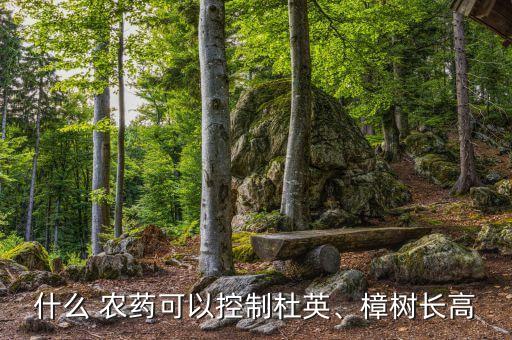 什么 農藥可以控制杜英、樟樹長高