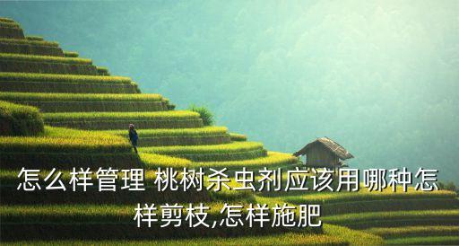 怎么樣管理 桃樹(shù)殺蟲(chóng)劑應(yīng)該用哪種怎樣剪枝,怎樣施肥