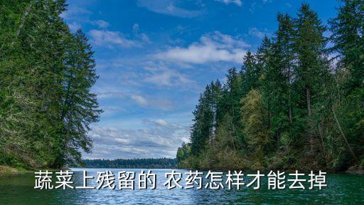 蔬菜上殘留的 農藥怎樣才能去掉