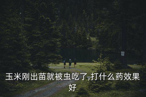 玉米剛出苗就被蟲吃了,打什么藥效果好