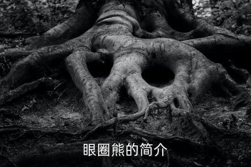 眼圈熊的簡介