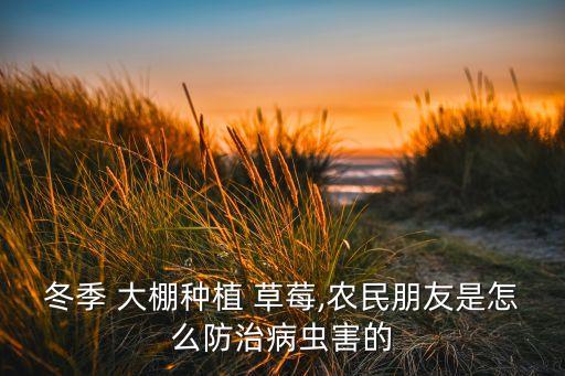 大棚草莓農藥都用什么