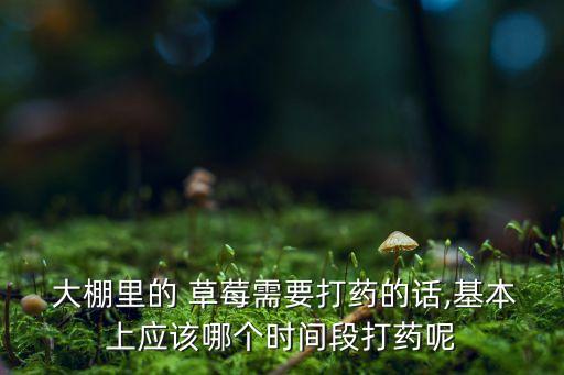  大棚里的 草莓需要打藥的話,基本上應(yīng)該哪個時間段打藥呢