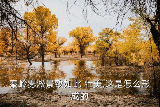 秦嶺霧淞景致如此 壯美,這是怎么形成的