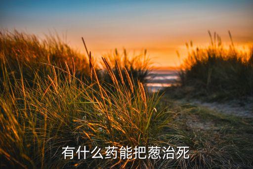 有什么藥能把蔥治死