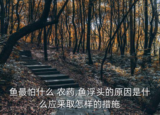 什么農(nóng)藥能藥魚,藥魚用什么農(nóng)藥最好無毒