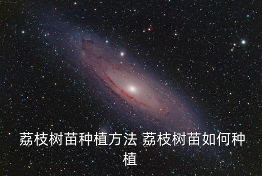  荔枝樹苗種植方法 荔枝樹苗如何種植