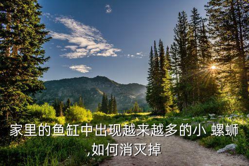 家里的魚缸中出現(xiàn)越來越多的小 螺螄,如何消滅掉